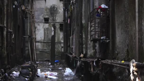 印度垃圾后街 — 图库视频影像