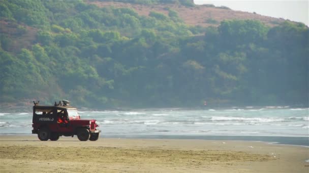 Beach lifeguard — Stock Video