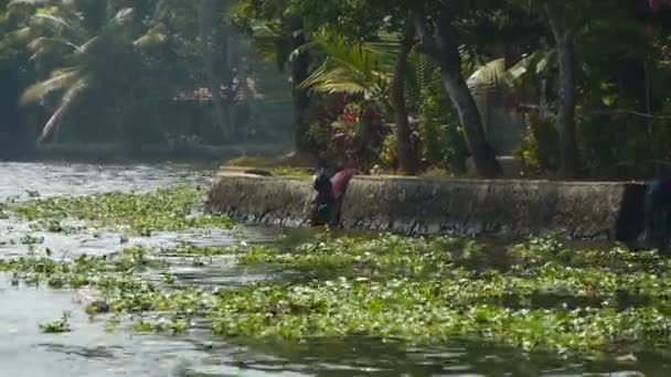 Handtvätt i en flod. Kerala, Indien — Stockvideo