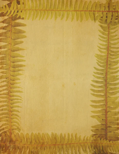 Very Old, Yellowed Image of Paper Framed With Fern Border — Stock Photo, Image