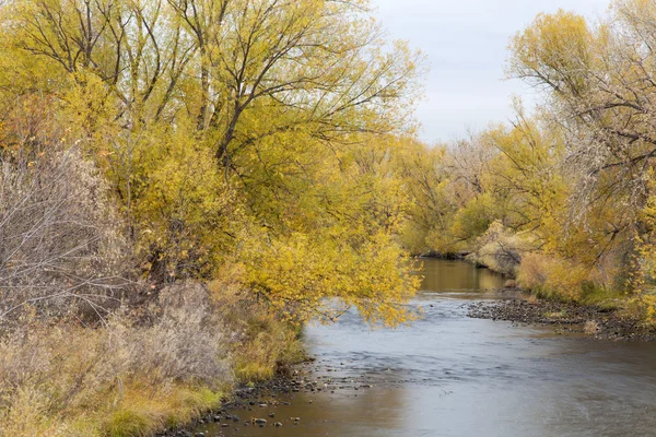 Cache la poudre rivier — Stockfoto