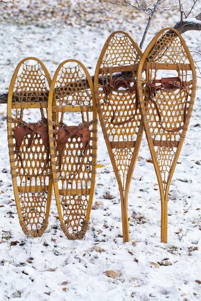 Bear Paw and Huron snowshoes — Stock Photo, Image