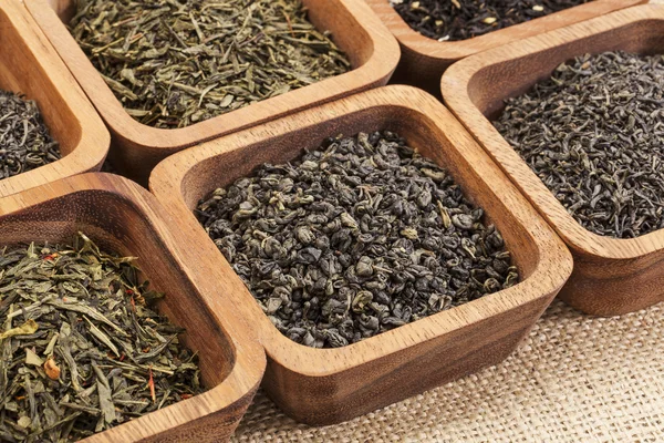 Set de muestras de té verde — Foto de Stock