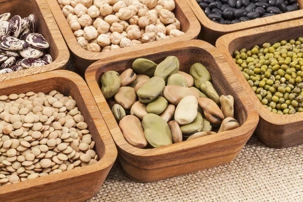 Bean and lentil set — Stock Photo, Image