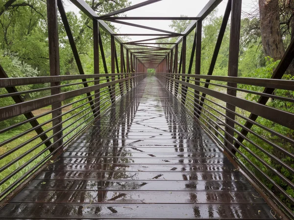 Wet bike trail bridge — Stock Photo, Image