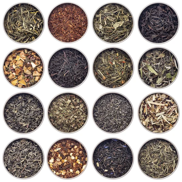 Green, white, black and herbal tea — Stock Photo, Image