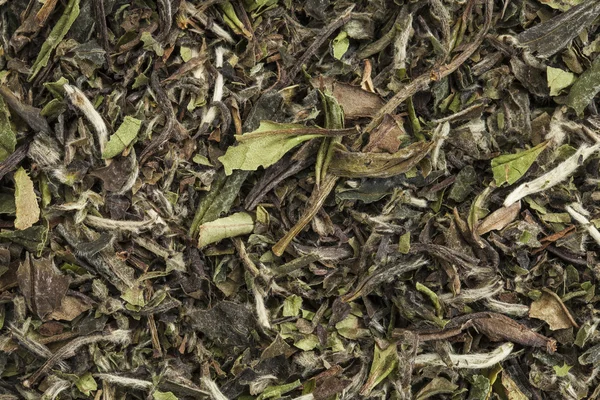 Organic white tea — Stock Photo, Image