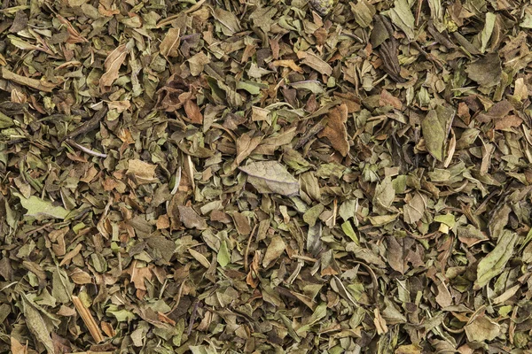 Té de menta — Foto de Stock