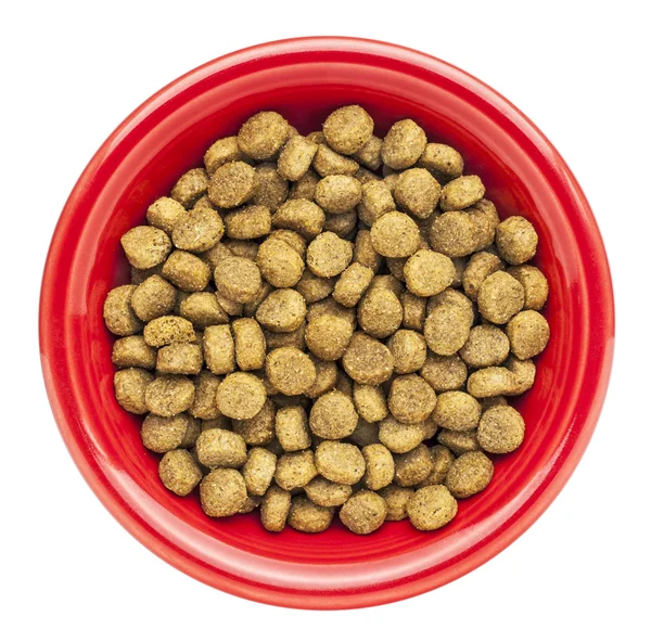 Bowl of dry dog food — Stock Photo, Image