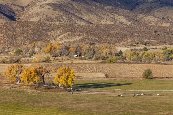 Terras agrícolas no sopé do Colorado — Fotografia de Stock