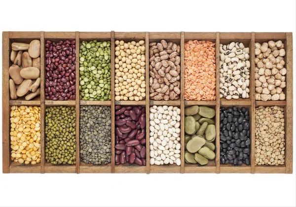 Set of 16 legume samples — Stock Photo, Image