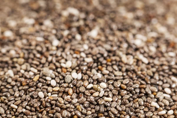Chia seeds close-up — Stock Photo, Image
