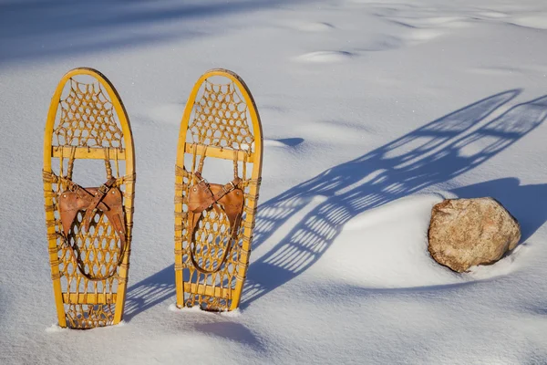 Bear Paw classic snowshoes — Stock Photo, Image