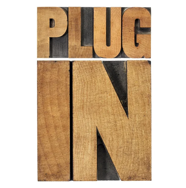 Plugin (plug-in) in wood type — Stock Photo, Image