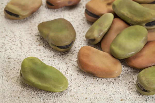 Fava (broad) beans — Stock Photo, Image