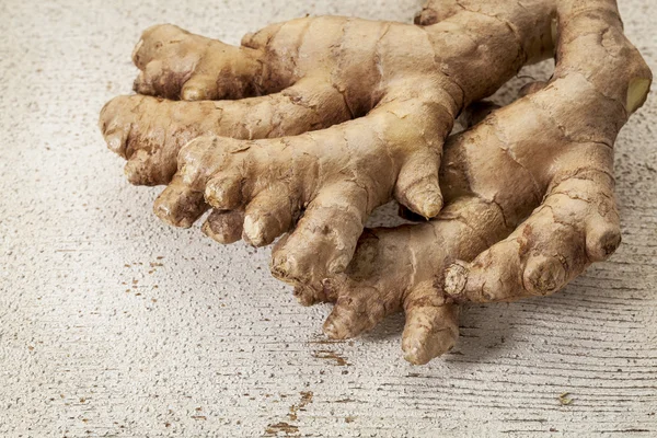 Ginger root — Stock Photo, Image