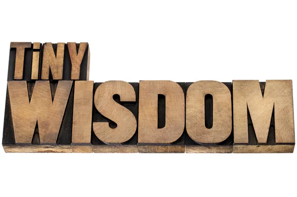 Tiny wisdom in wood type — Stock Photo, Image
