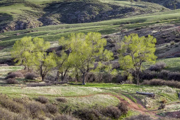 Valle de montaña en Colorado — Foto de Stock