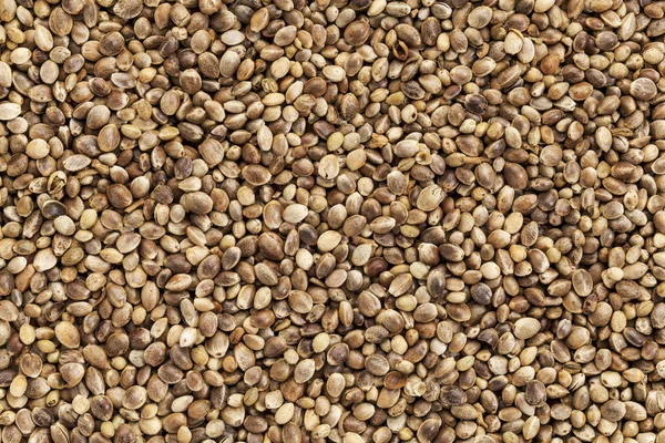 Hemp seed — Stock Photo, Image