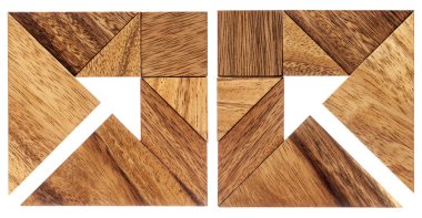 Tangram okları
