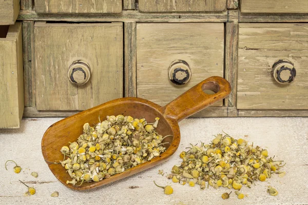 Organic chamomile herbal tea — Stock Photo, Image