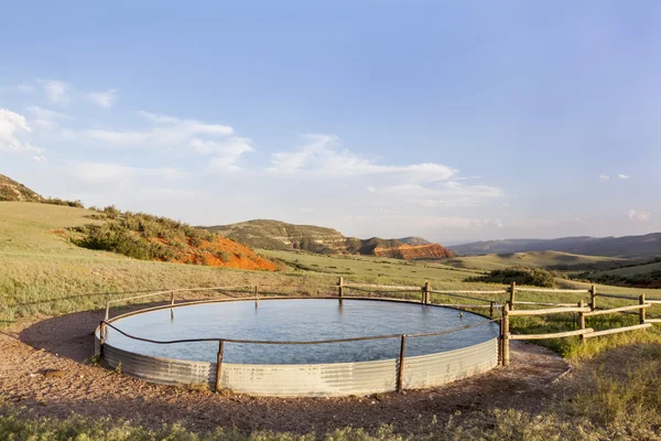 Cattle water tank — Stock Photo, Image