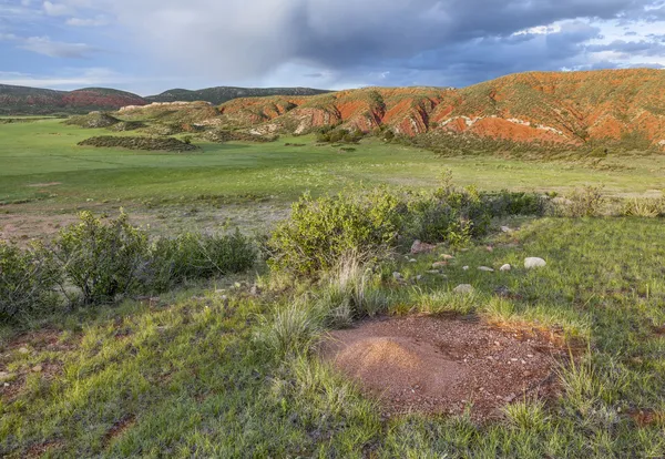 Colorado Mountain ranch — Stockfoto