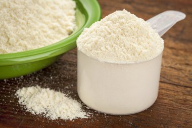 peynir altı suyu protein tozu