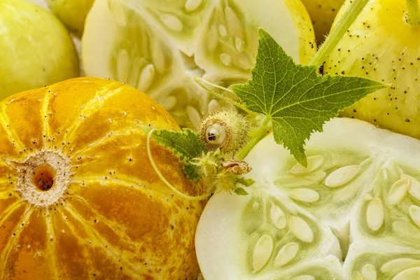 Lemon cucumbers — Stock Photo, Image