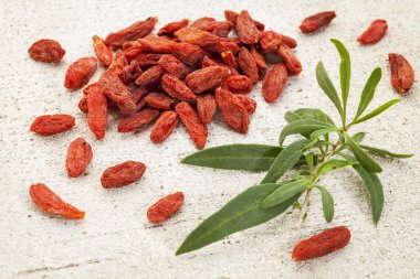Goji berry bir yaprak