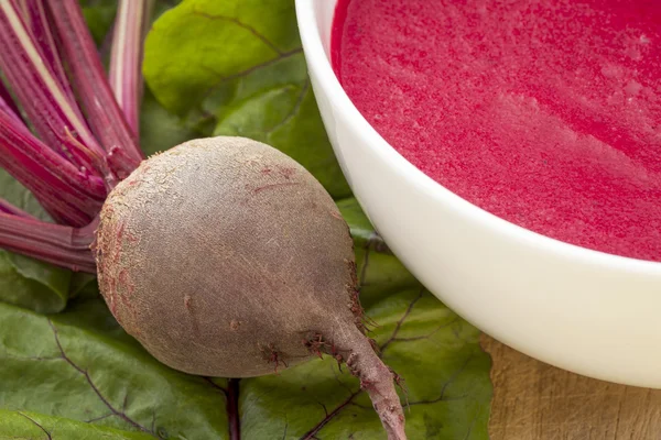 Red beet cream soup — Stock Photo, Image