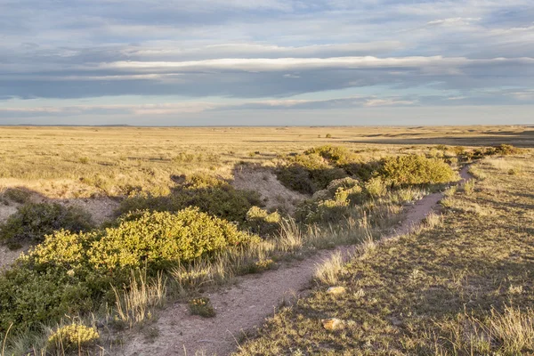 Trail over prairie — Stock Photo, Image