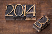 Nový rok 2014