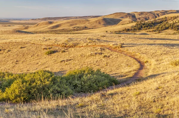 Прокатки prairie в Колорадо — стокове фото