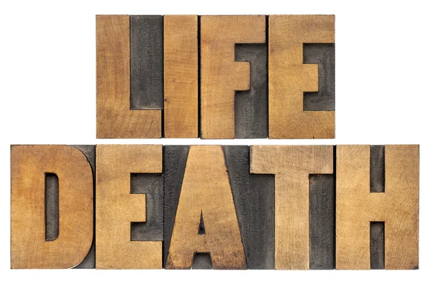 Life and death in wood type — Stock Photo, Image