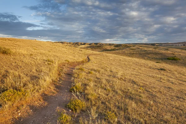 Trail via colorado prairie — Stockfoto