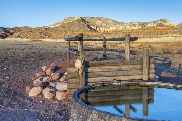 Sığır sulama delik colorado dağlarında — Stok fotoğraf