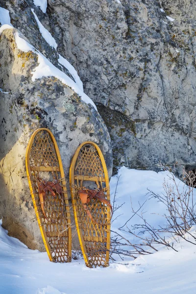 熊爪子滑雪鞋 — 图库照片
