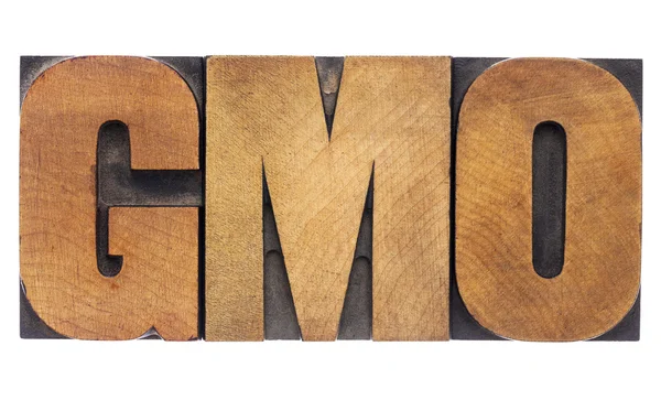 GMO acronym in wood type — Stock Photo, Image