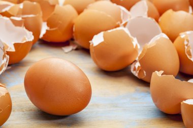 tavuk yumurta ve eggshels
