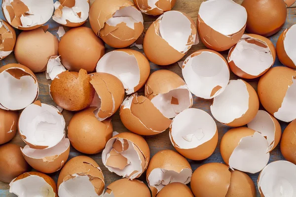 Trasiga kyckling eggshels — Stockfoto