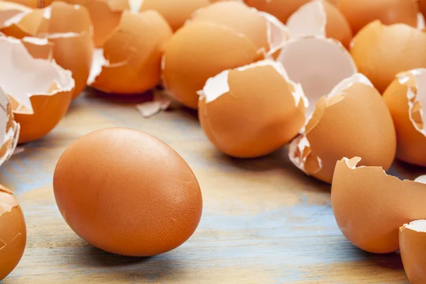 Chicken egg and eggshels — Stock Photo, Image