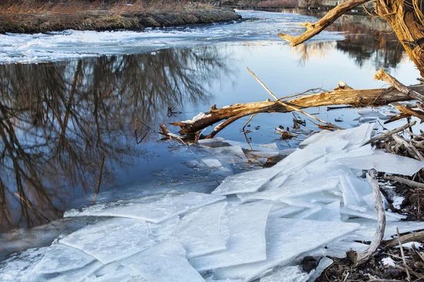 Rio Poudre com margens geladas — Fotografia de Stock