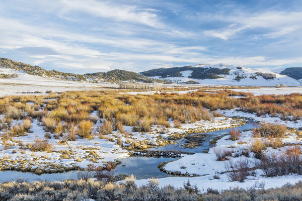 beaver swamp in Rocky Mountains