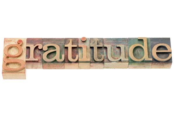 Gratitude word in wood type — Stock Photo, Image