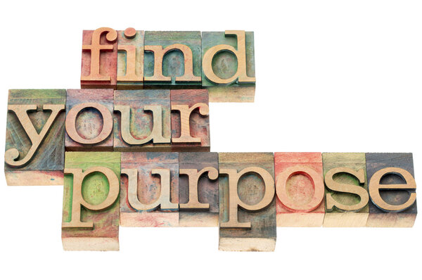 find your purpose in wood type