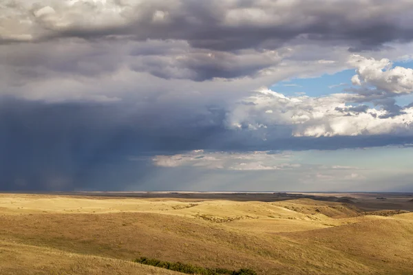 Nubes de tormenta sobre una pradera — Foto de Stock