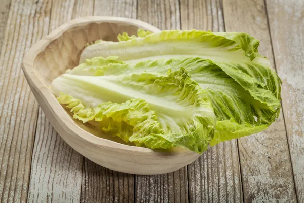 Romaine lettuce — Stock Photo, Image