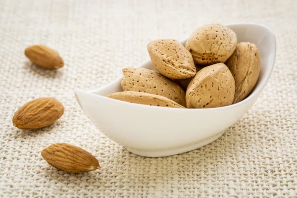 Almonds nuts — Stock Photo, Image