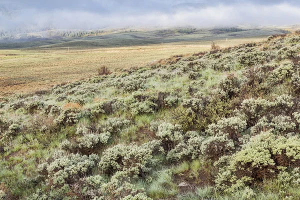 Vale da montanha com sagebrush — Fotografia de Stock